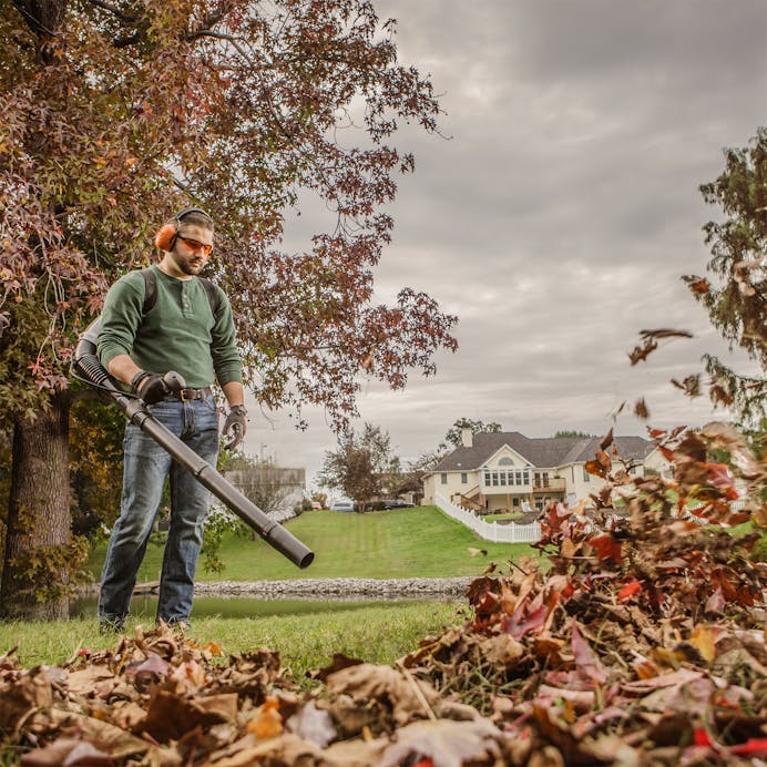 STIHL® BR 350