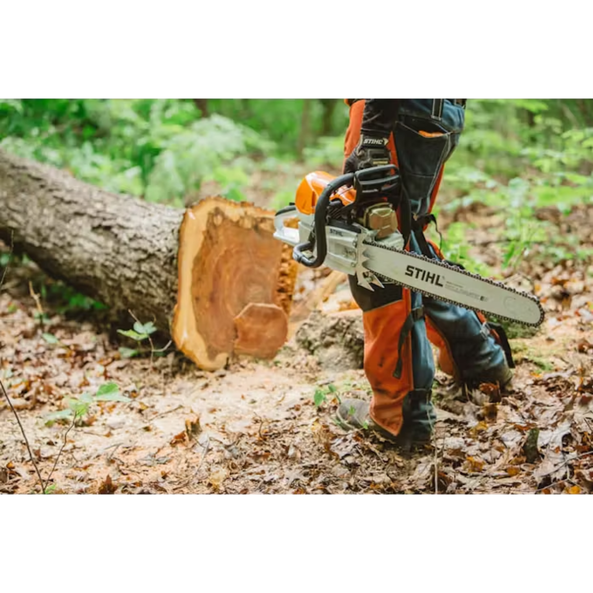 Stihl MS 462 CM 28L 33RS 2238 (3020 PH) 11422000131